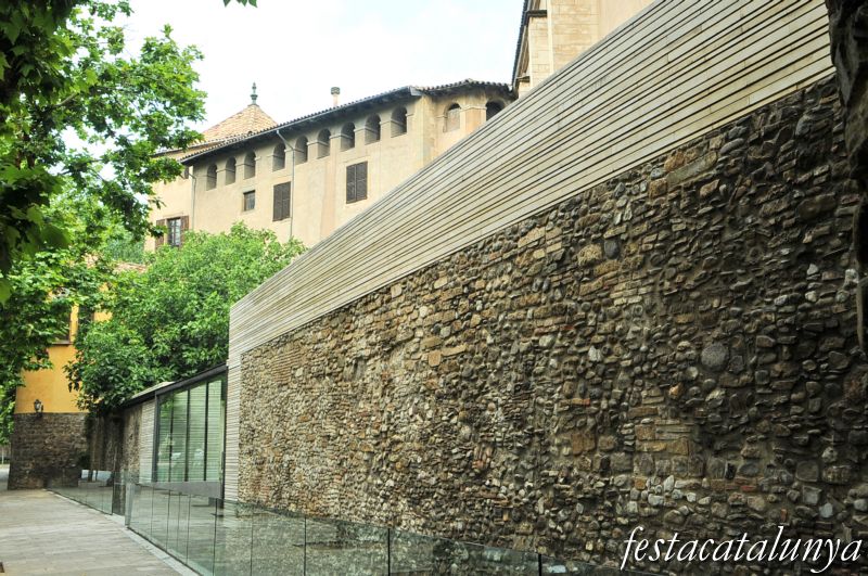 Vic - Palau Episcopal