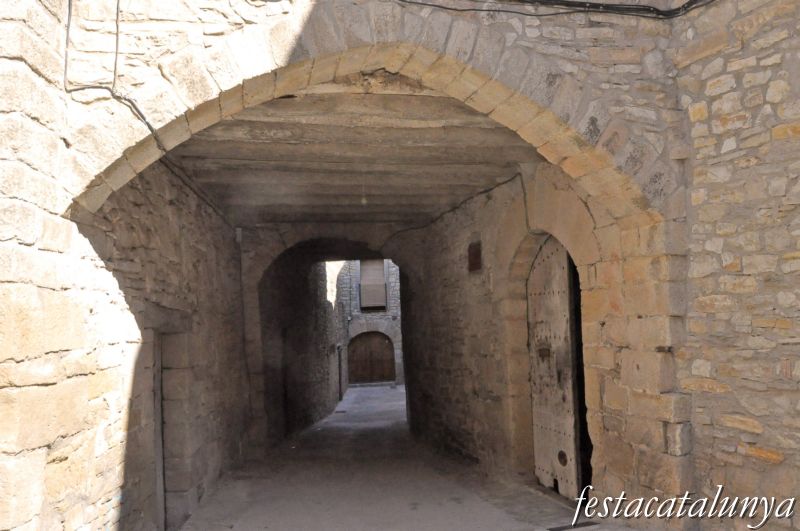 Visites guiades a Conesa