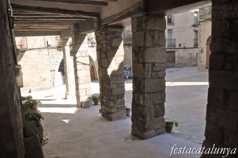 Visites guiades a Conesa