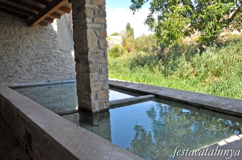 Visites guiades a Conesa