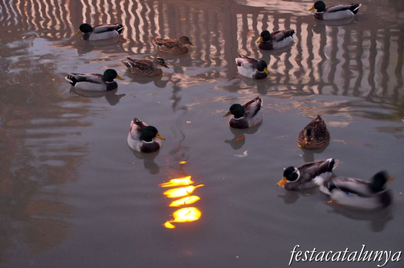 Piles, Les - Nucli antic de les Piles
