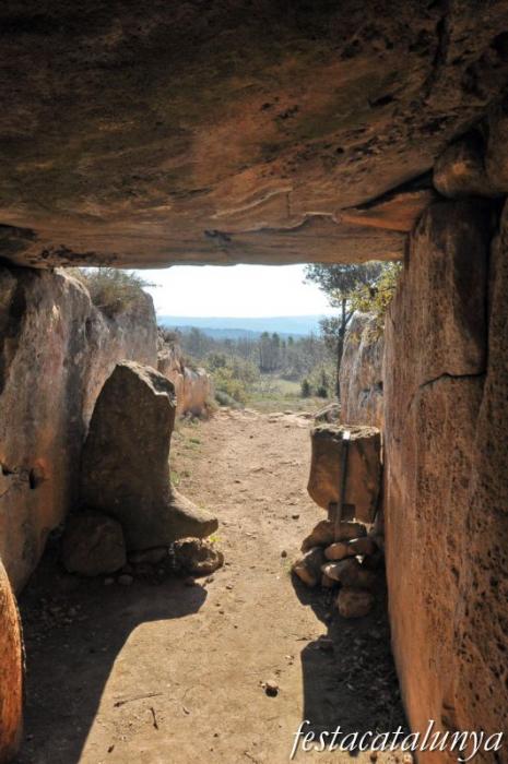 Dolmen de Llanera o de la Vila