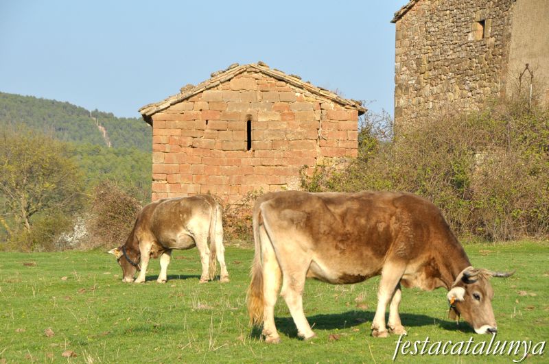Santa Maria de Sussiats a Olius