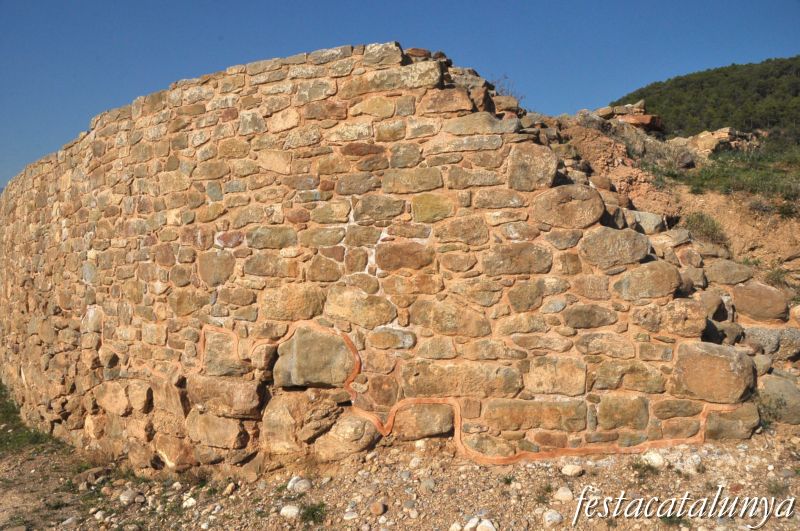 Olius - Jaciment arqueològic a Sant Esteve d’Olius