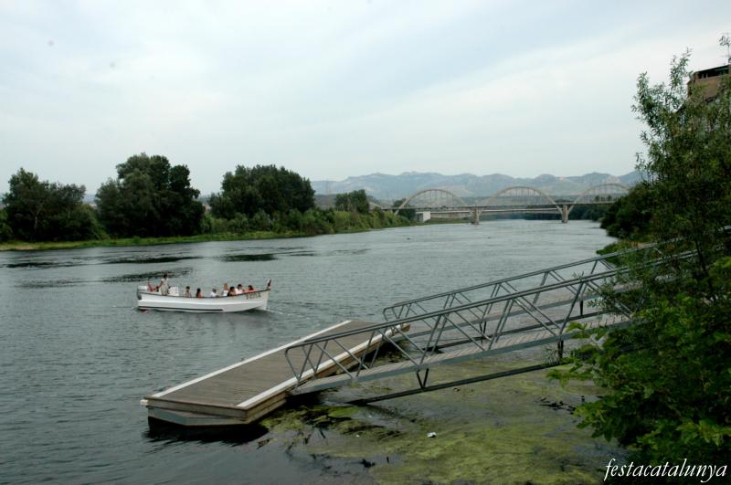 Riuades de l'Ebre a Móra d'Ebre