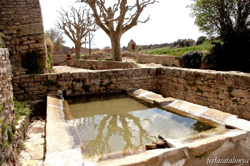 Pous i rentadors de Freixenet