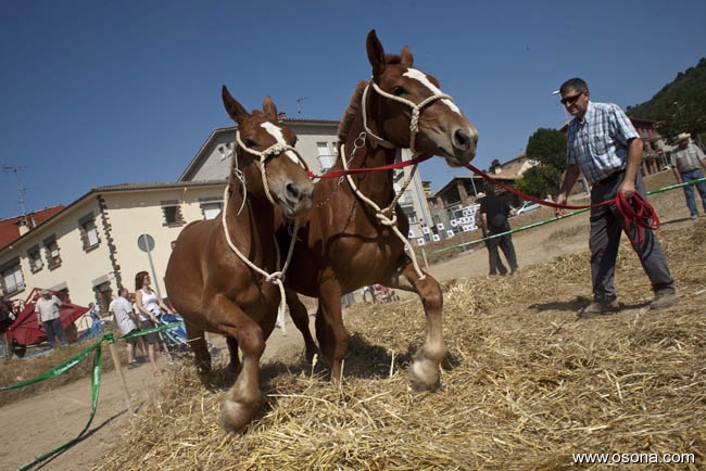 Festa del Segar i el Batre a Santa Eulàlia de Riuprimer