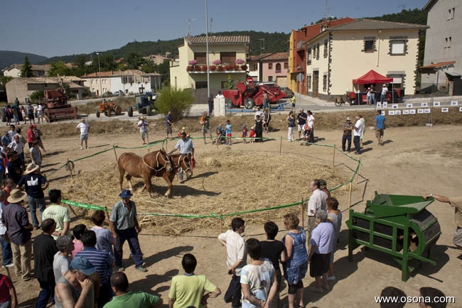 Festa del Segar i el Batre a Santa Eulàlia de Riuprimer