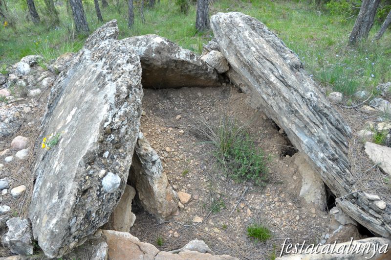 Necròpolis megalítica del collet del Sàlzer a Odèn