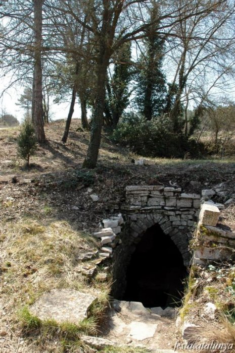 Font de Branques de Sendomí