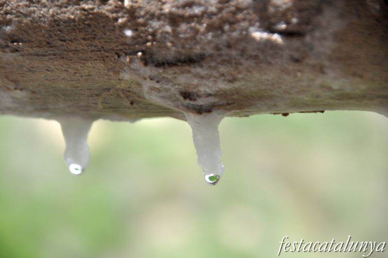 Les Salines de Cambrils