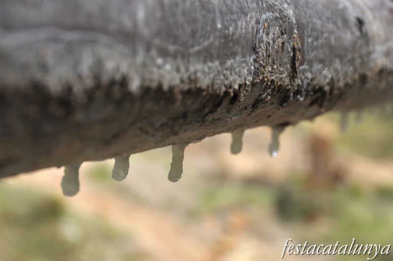 Odèn - Les Salines de Cambrils