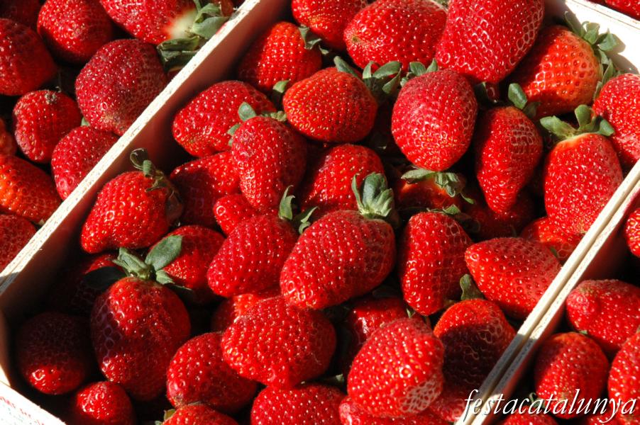 La maduixa a Sant Cebrià de Vallalta