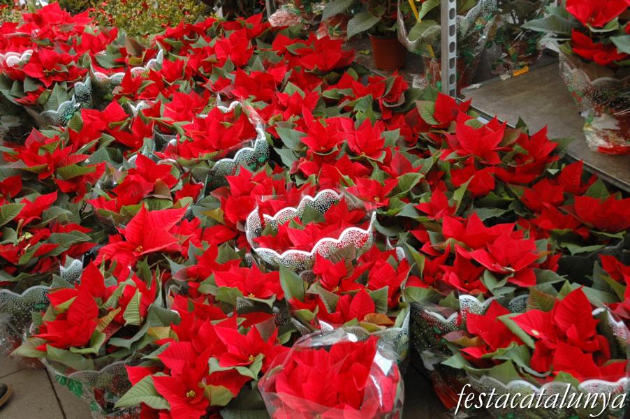 Fira de Nadal i Trobada de Cotxes Clàssics a Rubió