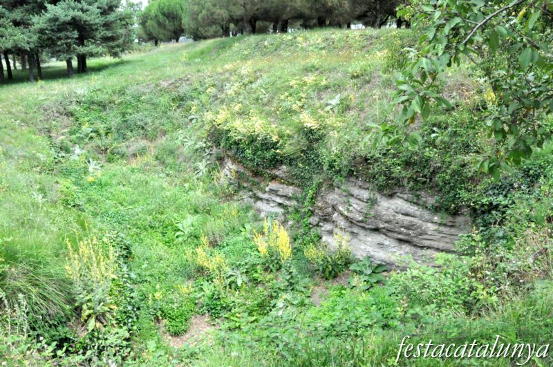 La Tonda del castell de Tona ***