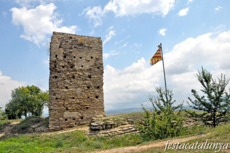 Castell de Tona
