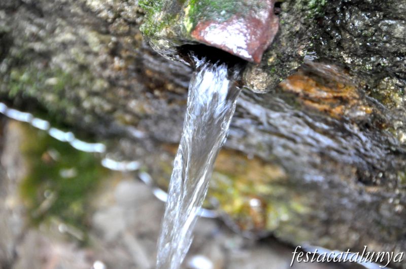 Font de la Suïssa de Tona