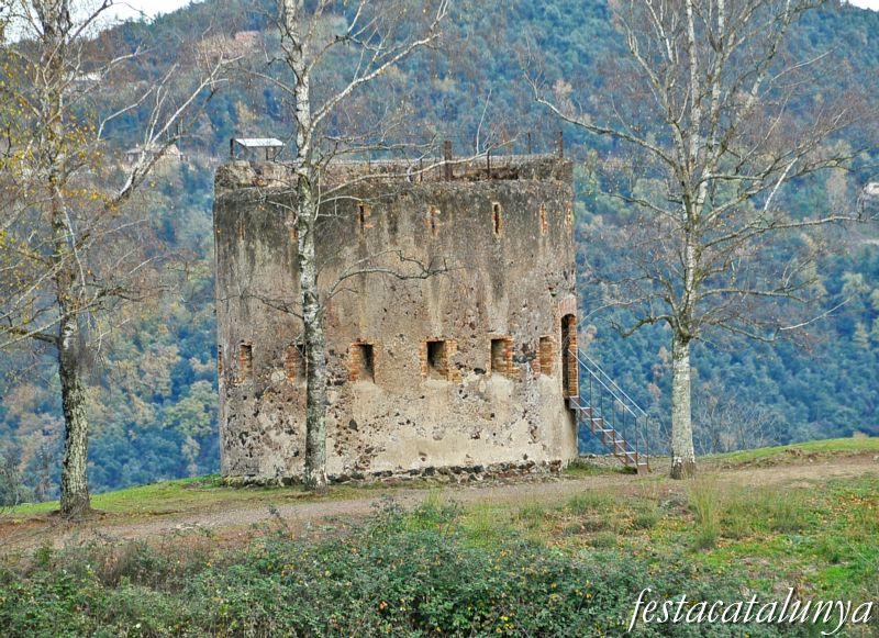 Olot - Defenses carlines