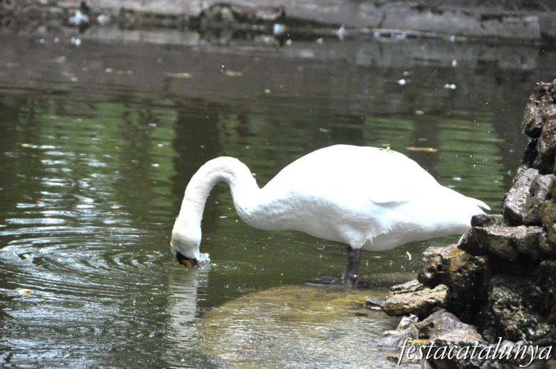 Moià - Parc Municipal Francesc Viñas