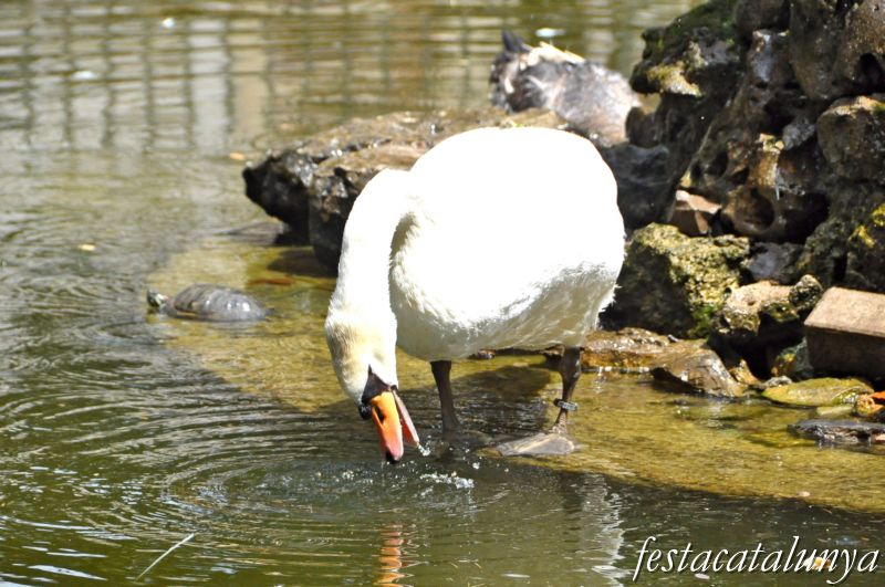 Moià - Parc Municipal Francesc Viñas