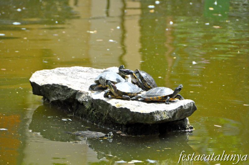 Moià - Parc Municipal Francesc Viñas