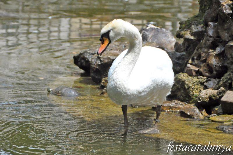 Parc Municipal Francesc Viñas de Moià ***