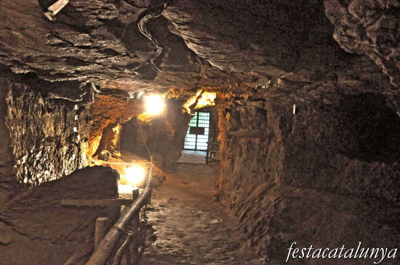 Moià - Coves del Toll