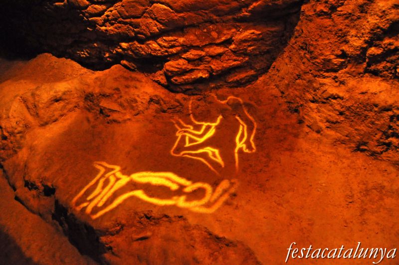 Coves del Toll a Moià ***