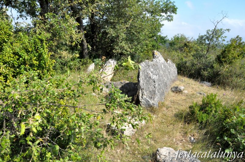 Moià - Dolmen de Cuspinar