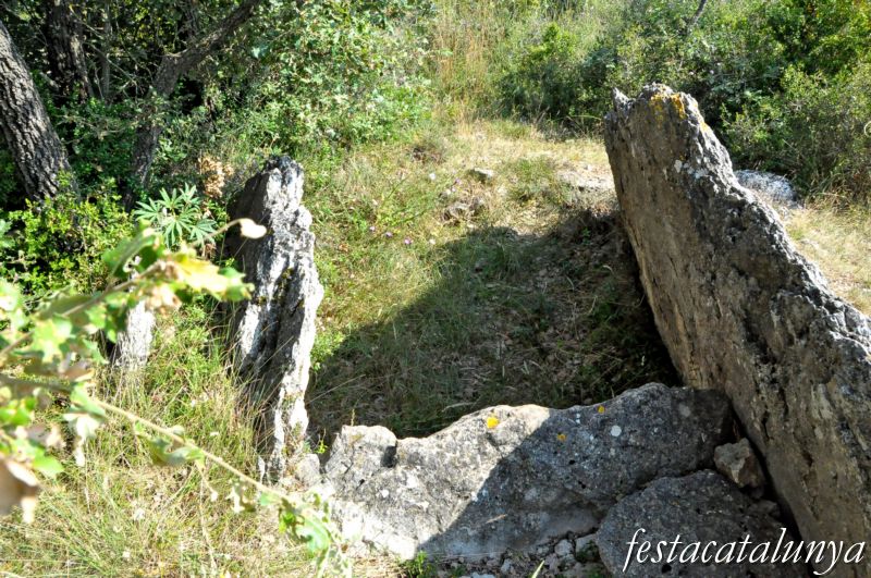 Dolmen de Cuspinar ***
