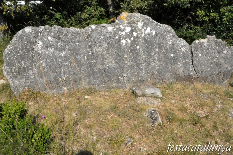 Moià - Dolmen de Cuspinar