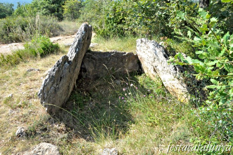 Moià - Dolmen de Cuspinar