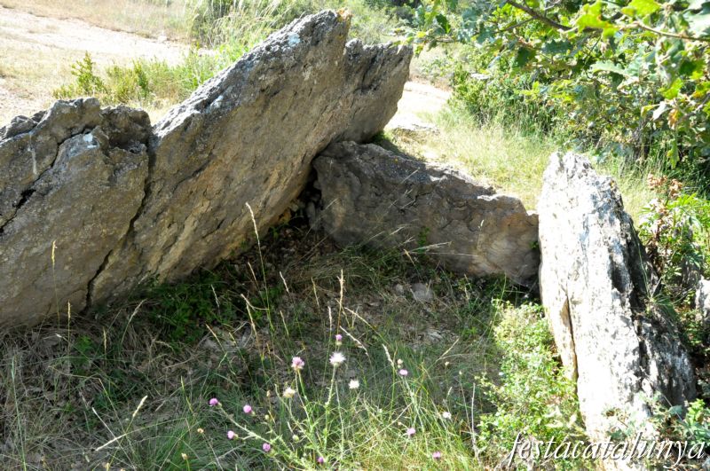 Moià - Dolmen de Cuspinar