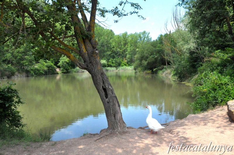 Moià - Embassament i Parc del Molí Nou