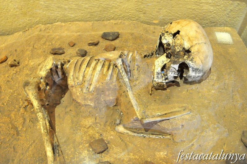 Museu arqueològic i paleontològic de Moià