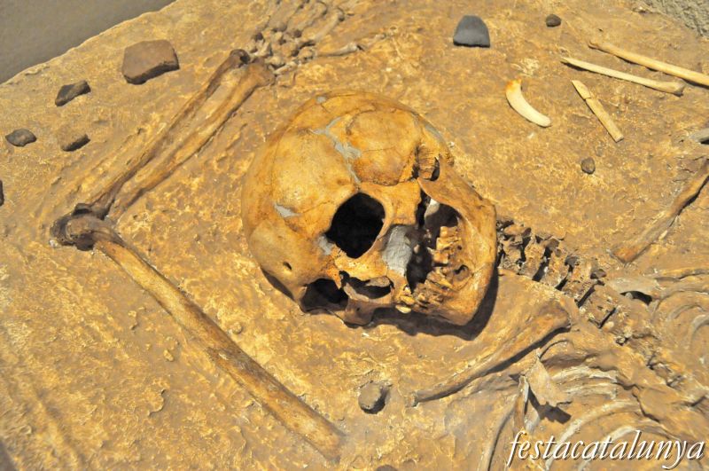 Museu arqueològic i paleontològic de Moià