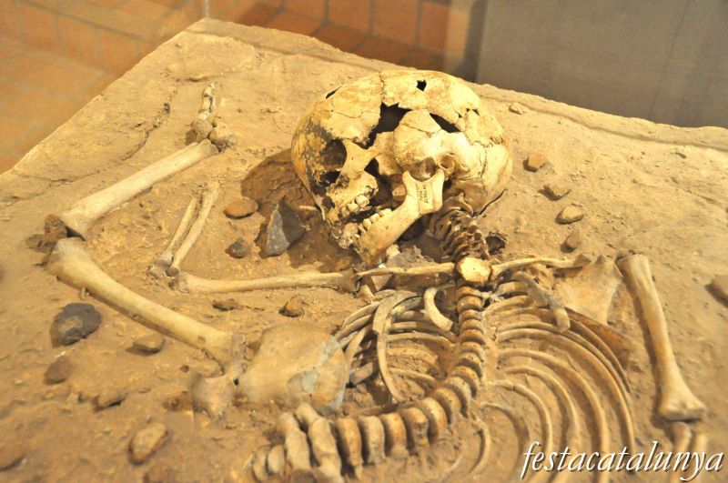 Museu arqueològic i paleontològic de Moià