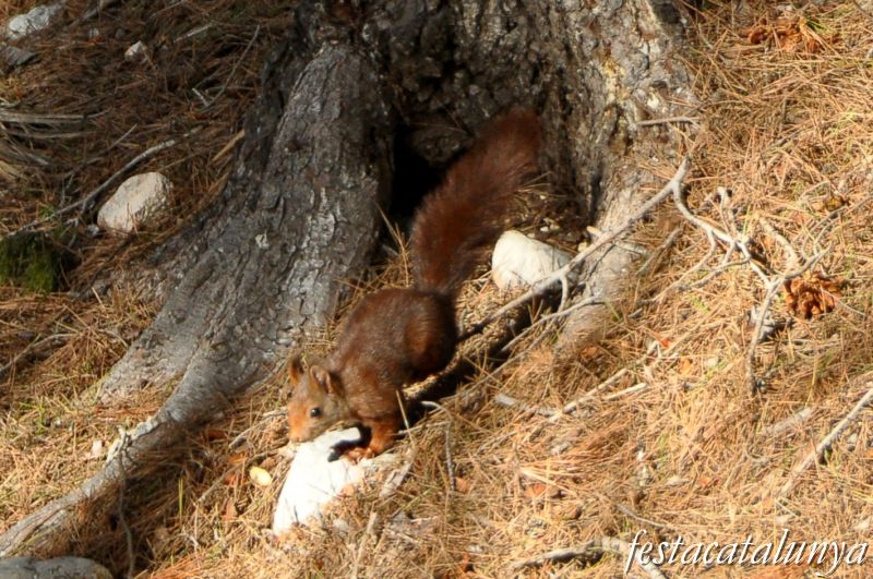Vandellòs i l’Hospitalet de l’Infant - Desembocadura del riu Llastres