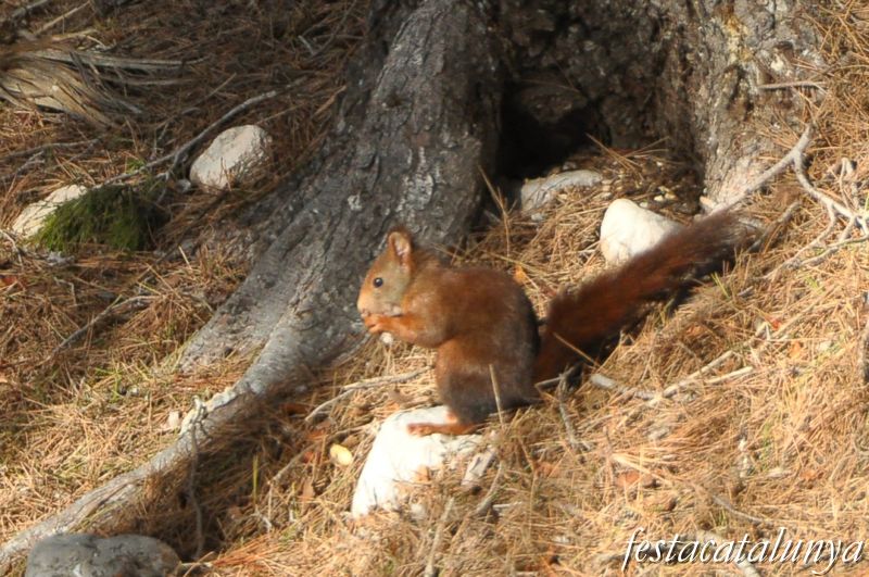 Vandellòs i l’Hospitalet de l’Infant - Desembocadura del riu Llastres