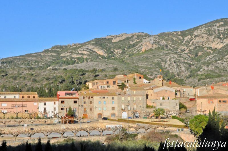 Masboquera a Vandellòs i l'Hospitalet de l'Infant