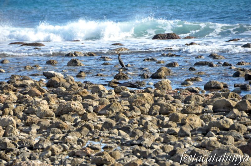 L'Almadrava a Vandellòs i l'Hospitalet de l'Infant ***