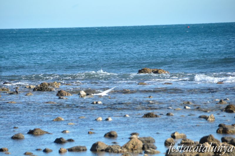 Vandellòs i l’Hospitalet de l’Infant - L’Almadrava (Desembocadura del barranc del terme)
