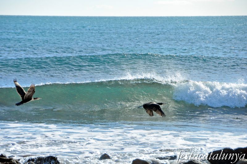 Vandellòs i l’Hospitalet de l’Infant - L’Almadrava (Desembocadura del barranc del terme)