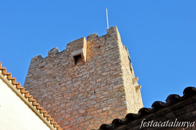 Masriudoms a Vandellòs i l'Hospitalet de l'Infant