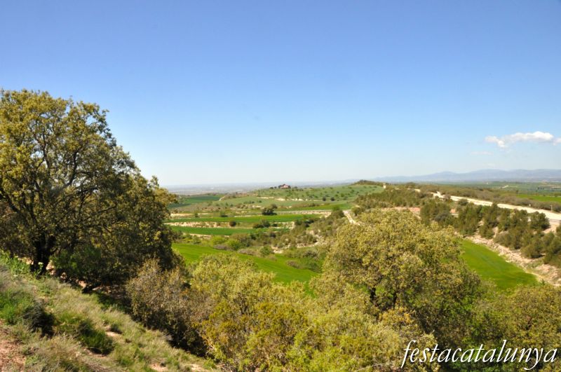 Agramunt - Vistes panoràmiques des del Pilar d’Almenara