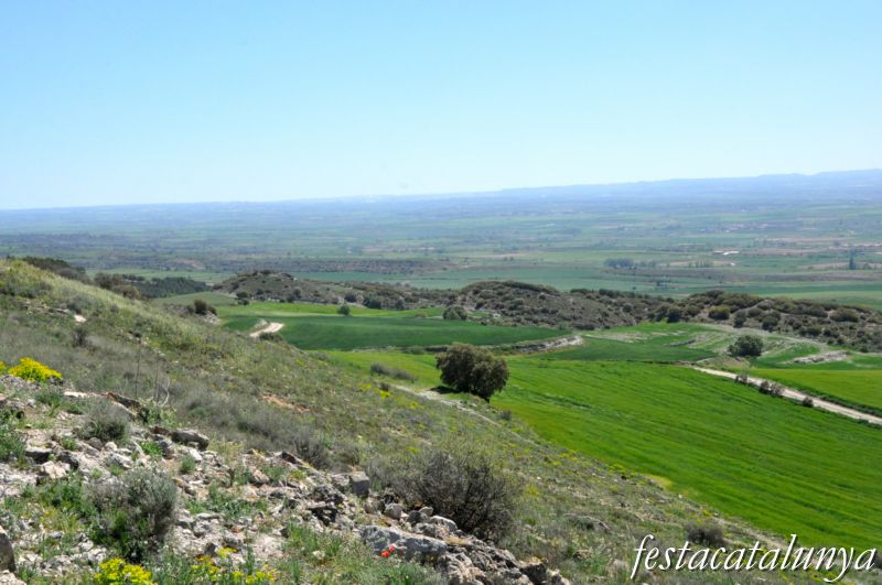 Agramunt - Vistes panoràmiques des del Pilar d’Almenara