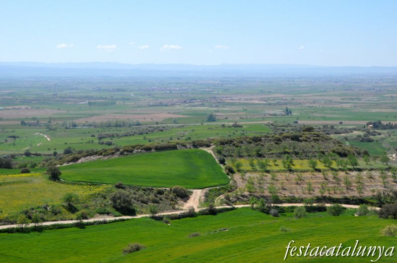 Vistes panoràmiques des del Pilar d'Almenara ***