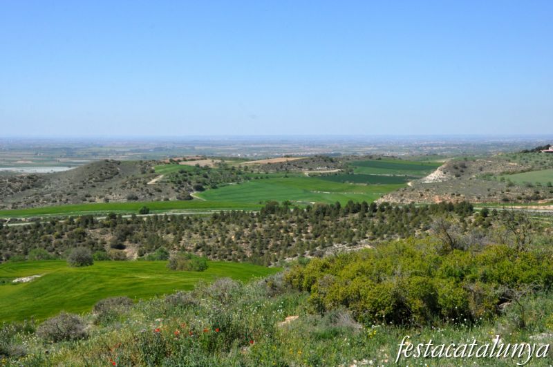 Agramunt - Vistes panoràmiques des del Pilar d’Almenara