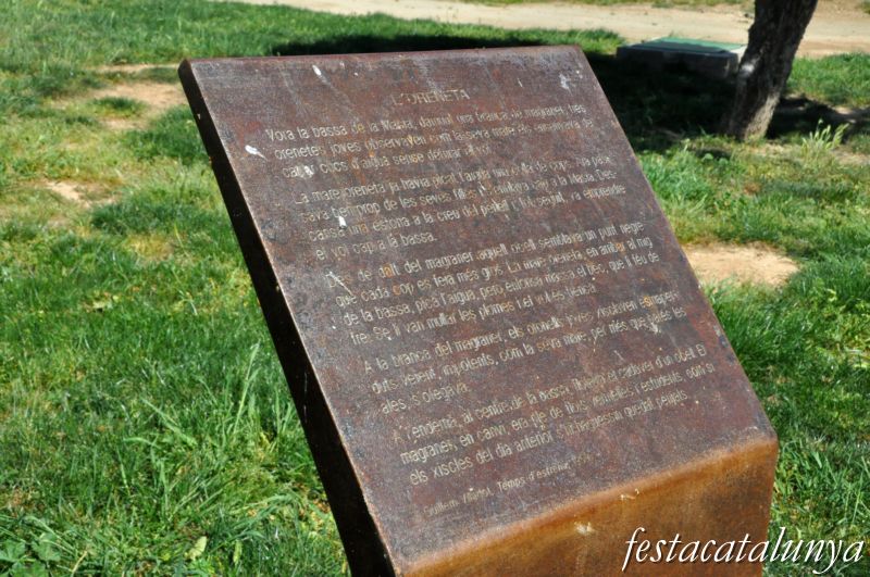 Agramunt - Parc de Riella