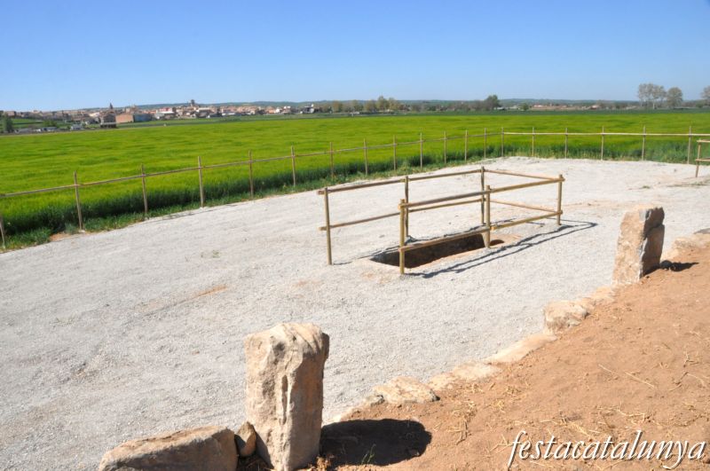 Agramunt - Refugi camp d’aviació Els Salats